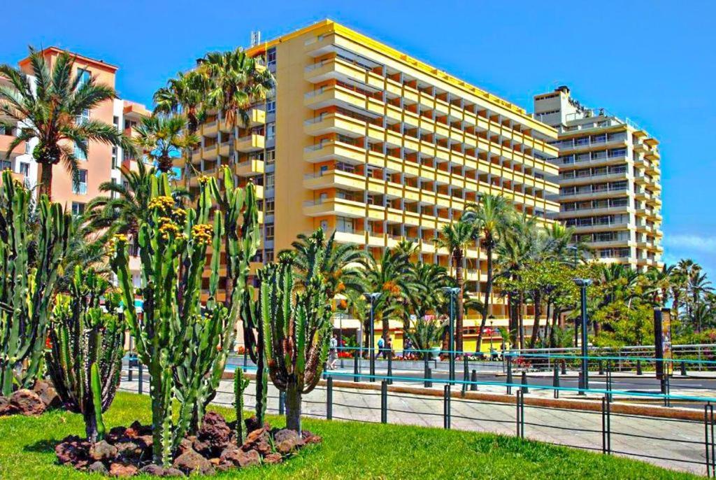 Estudio Para Dos En Martianez Puerto de la Cruz (Tenerife) Exterior foto